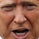 Image for article titled Widower Begs Twitter to End Trump’s Harassment, Twitter Begs You to Forget This Ever Happened